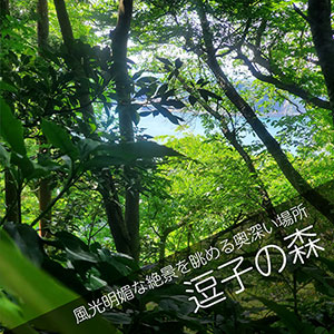 逗子の山林散骨自然葬