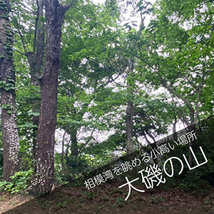 大磯の山林散骨自然葬