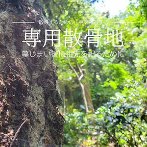 山林散骨のための不動産販売